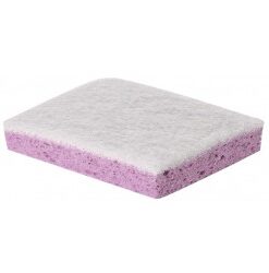 123021 - Eponge - lot de 10