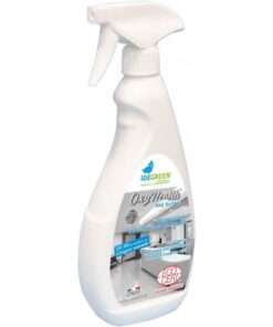 131649 - Désinfectant - 750 ml