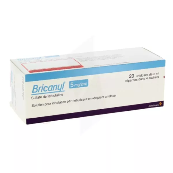 3400936573215 - Bricanyl - 5 mg / 2 ml