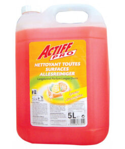 41285 - Nettoyant - 5 L